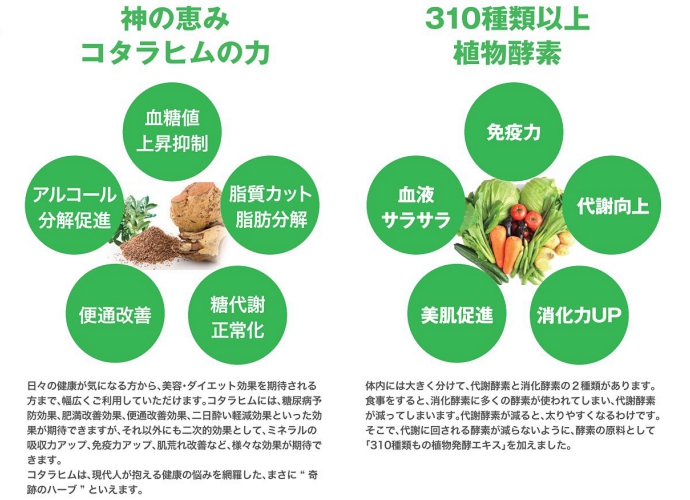 コタラヒム310｜WEBサイト制作・運営代行｜T'sワークス